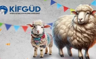 Kayseri Talas’ta France ırkına özel festival