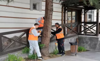 Kayseri Talas’tan çevre dostu ilaçlama atağı