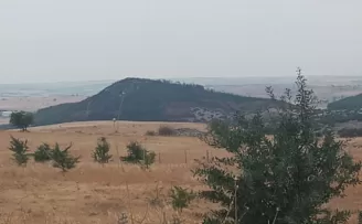 Keşan Sivritepe’ye fidan dikimi müjdesi... 11 Kasım’da yeşillenecek