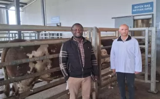 Kocaeli Büyükşehir mezbahasına örnek tesis vurgusu