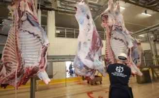 Kocaeli’de sağlıklı ve güvenilir etin adresi Belediye Mezbahası