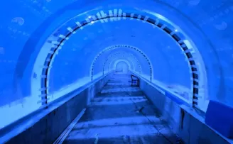 Kocaeli’de su altı dünyası yakında kapılarını açıyor