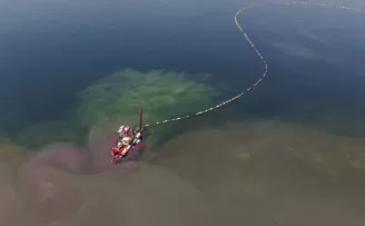 Kocaeli’nin çevre projesi deniz canlılarını canlandırdı