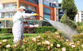 Konya Karatay’da ilaçlama çalışmaları sürüyor