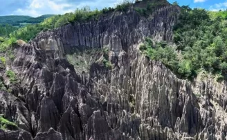 Korunan alan sayısı 692’ye yükseldi