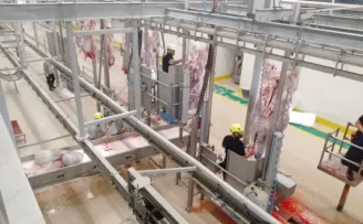 Kurbanlar Kocaeli’nin modern mezbahasında kesiliyor