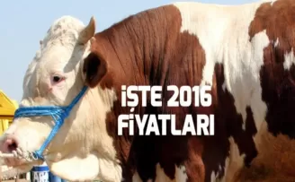 Kurbanlık fiyatları açıklandı