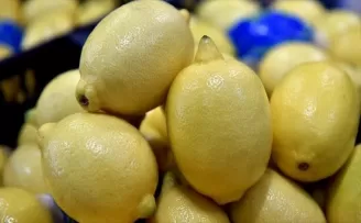 Limon ihracatında yüzler gülüyor