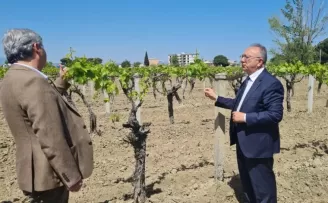 Manisa’da üreticilere genişletilmiş hibe desteği