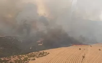 Manisa, Tekirdağ ve Çanakkale’de orman yangınlarına yoğun müdahale