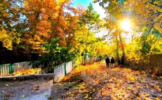 Mardin Yeşilli’de sonbahar büyüsü (Özel Haber)