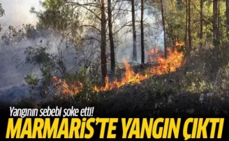 Marmaris'te Çıkan Yangının Nedeni Belli Oldu