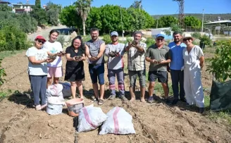 Mersin’de enginar üretimini yaygınlaştırıyor