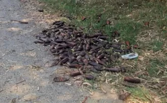 Mersin’de yere döktüğü 3. kalite patlıcanlar 17,2 milyon TL’ye patladı!