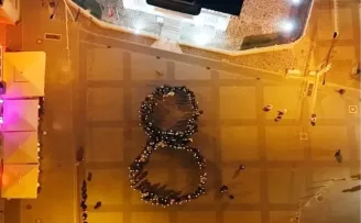 Mudanya’da kadınlar 8 Mart’ta 8 dakika ’sessiz’ durdu!