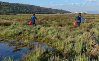 Muğla Büyükşehir’den Güllük’te 60 hektarda ilaçlama