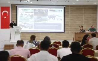 Muğla’da yaban domuzları gündemde