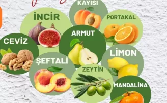 Muğla Milas’ta üreticilere fidan desteği sağlanacak