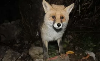 Öğretmenler müziği sokağa taşıdı