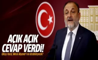 Oktay Vural, Meral Akşener'i mi destekleyecek? Yanıt verdi