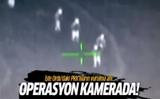 Ordu'da PKK'lılar böyle vuruldu!