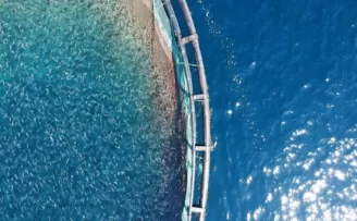 Ortadoğu'nun balığı Doğu Akdeniz'den