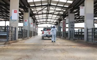 Osmangazi’de kurban pazarları ilaçlanarak dezenfekte edildi