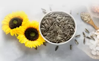 PAN-PA siyah çekirdek alımlarına başladı