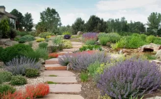 PEYZAJDER: Kuraklık peyzaj anlayışını değiştiriyor