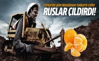 Rusya'da mandalinaları buldozerle ezdiler!