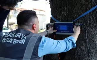 Sakarya’dan doğaya ‘şifa’ gibi adım... Yeşil cennetin tomografisi çekilecek