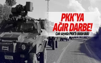 Saldırı planlayan teröristlere baskın!