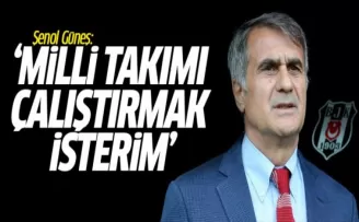 Şenol Güneş: Milli Takımı Çalıştırmak İsterim