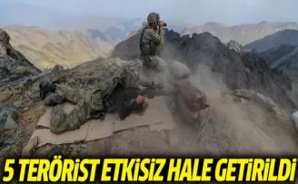 Şırnak'ta 5 Terörist Etkisiz Hale Getirildi
