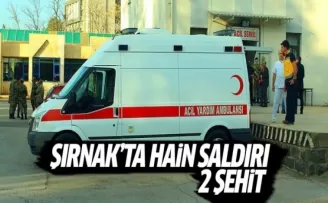 Şırnak'taki terör saldırısı: 2 şehit, 4 yaralı