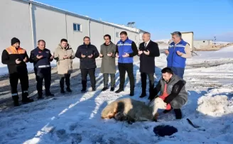 Sivas’ta kar yağışına şükür kurbanı