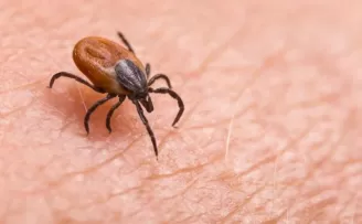 Sivas’taki kene vakaları TBMM’ye taşındı