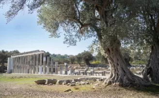 Teos’un taşları 2 bin 200 yıllık tarihi gün yüzüne çıkarıyor