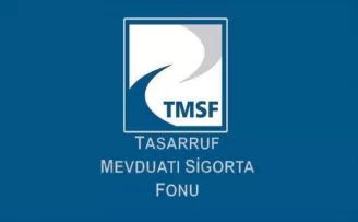 TMSF'ye geçen 'sorunlu şirketler' satılacak
