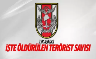 TSK: Şemdinli'de 331 terörist öldürüldü