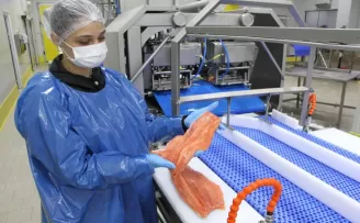 Türk somonu ihracatı rekor kırıyor... 2035 hedefi 1 milyar dolar