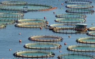 Türkiye, Akdeniz ve Karadeniz su ürünlerinde lider konumda