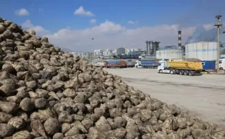 Üretici ortaklara pancar bedelleri ödeniyor