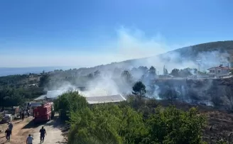 Yalova Armutlu’da orman yangını kontrol altında