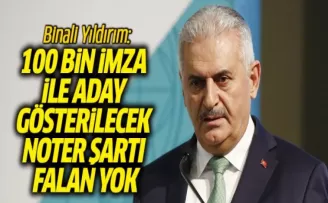 Yıdırım: 