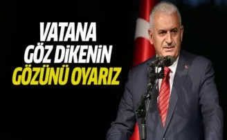 Yıldırım: Vatana göz dikenin gözünü oyacağız