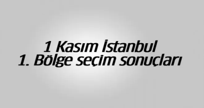 1 Kasım İstanbul 1. Bölge seçim sonuçları