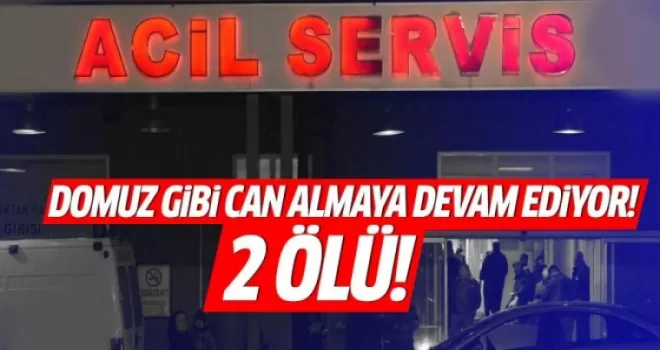 2 kişi daha domuz gribinden öldü!