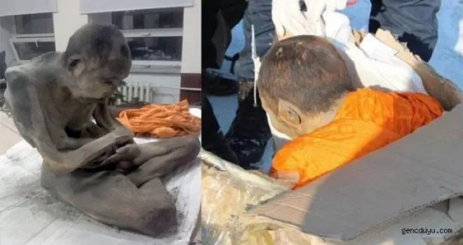 200 yıldır derin meditasyonda