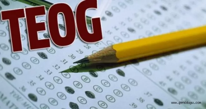 2014 2015 TEOG kılavuzu yayınlandı